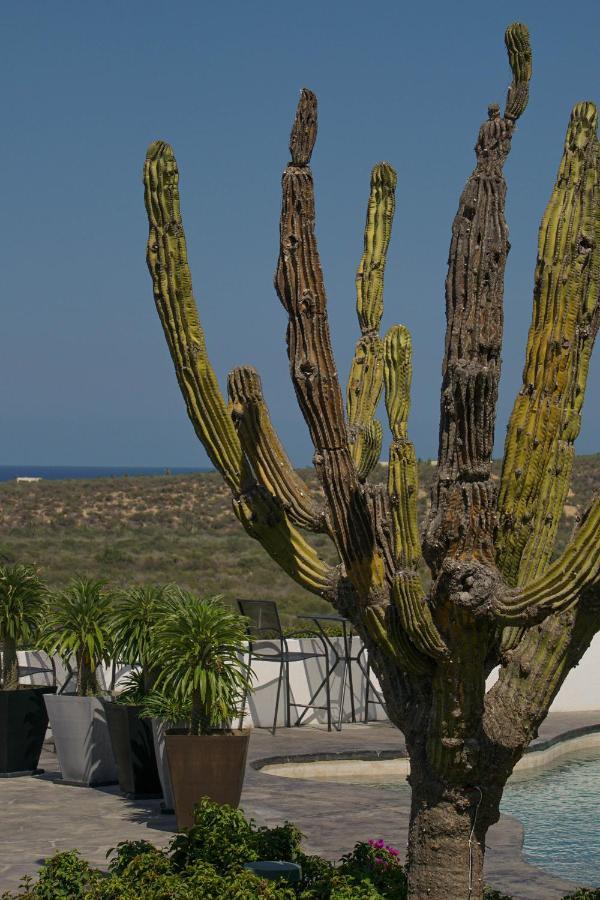 Vista La Ribera Hotel Kültér fotó